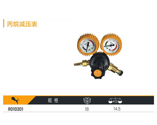 R010301 丙烷減壓表