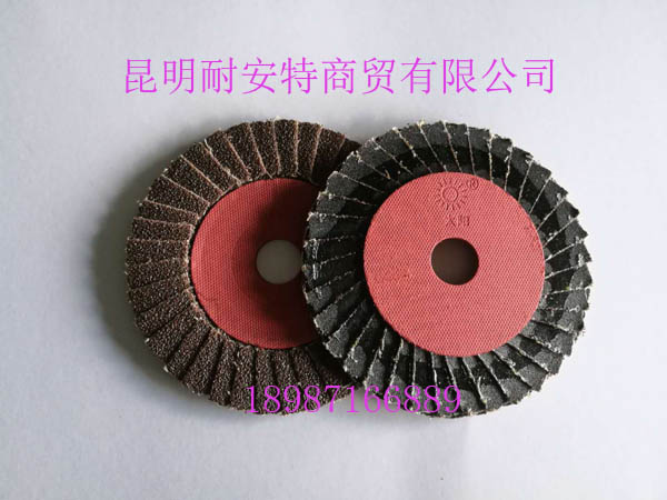 小太陽花頁輪100mm